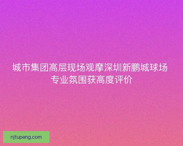 城市集团高层现场观摩深圳新鹏城球场 专业氛围获高度评价