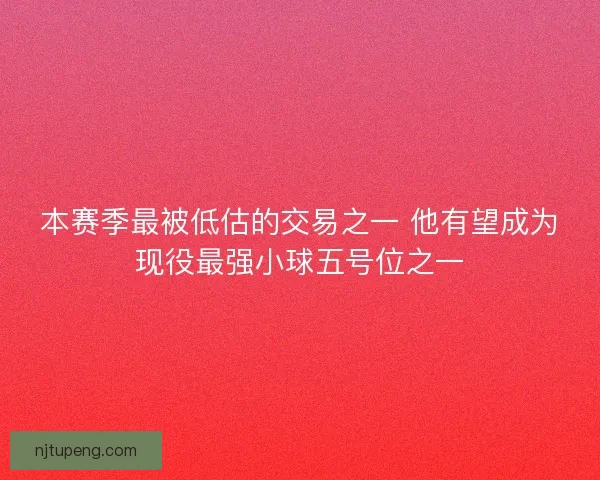 本赛季最被低估的交易之一 他有望成为现役最强小球五号位之一